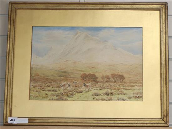 Herbert Moxon Cook (1844-1920), watercolour, Ben Nevis, from near Arrivain, Agryllshire, signed and dated
